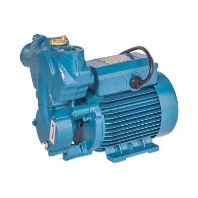 Peripheralpumpe für Warmwasser Electromash IPLM 25/125, Leistung 0,125 kW, Fördermenge 1800 l/h, Förderhöhe 30 m - Zentralheizung