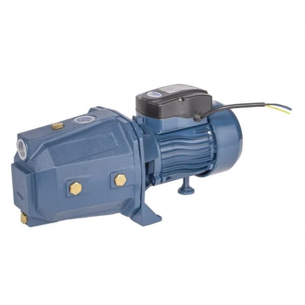 Selbstansaugende Wasserpumpe für den Garten Electromash ATLAS 125, Leistung 0,75 kW, Fördermenge 4200 l/h, Förderhöhe 46 m | Wasserpumpen für den garten | Wasserpumpen |