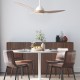 Deckenventilator mit LED-beleuchtung und fernbedienung Balkan Energy FANKVN30G, Ф132, DC40W | Deckenventilatoren | Ventilatoren |