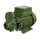Periphere elektrische Wasserpumpe SAER - KF0 |  |  |